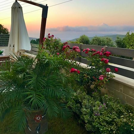 Villa Chryssi كيساموس المظهر الخارجي الصورة